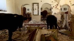 Missiles Fly But Ukrainian Villagers In Donetsk Region Refuse To Budge
