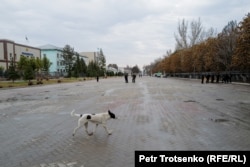 Zharkent city