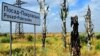 Деокуповане минулого року село Посад-Покровське на Херсонщині досі не можуть відбудувати