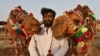 په کراچۍ کې تر لوی اختر وړاندې يو کس د څارويو په بازار کې خپل اوښان د پلور لپاره راوستي دي ـ انځور له ارشيفه