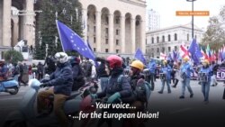 Georgian President Joins Pro-EU Rally 