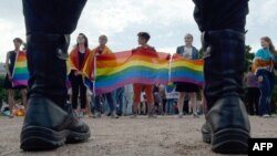 People wave rainbow flags at a gay pride rally in St. Petersburg in 2017.