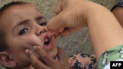کېمپېن د صوبې په ۳۶ ضلعو کې کېږي ـ پخوانی انځور.