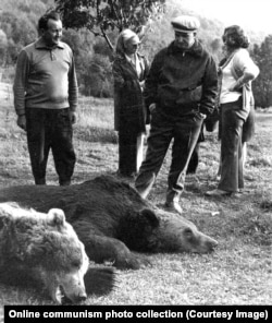 Ceausescu looks over a lineup of recently killed bears in Bistrita, northern Romania in 1972.