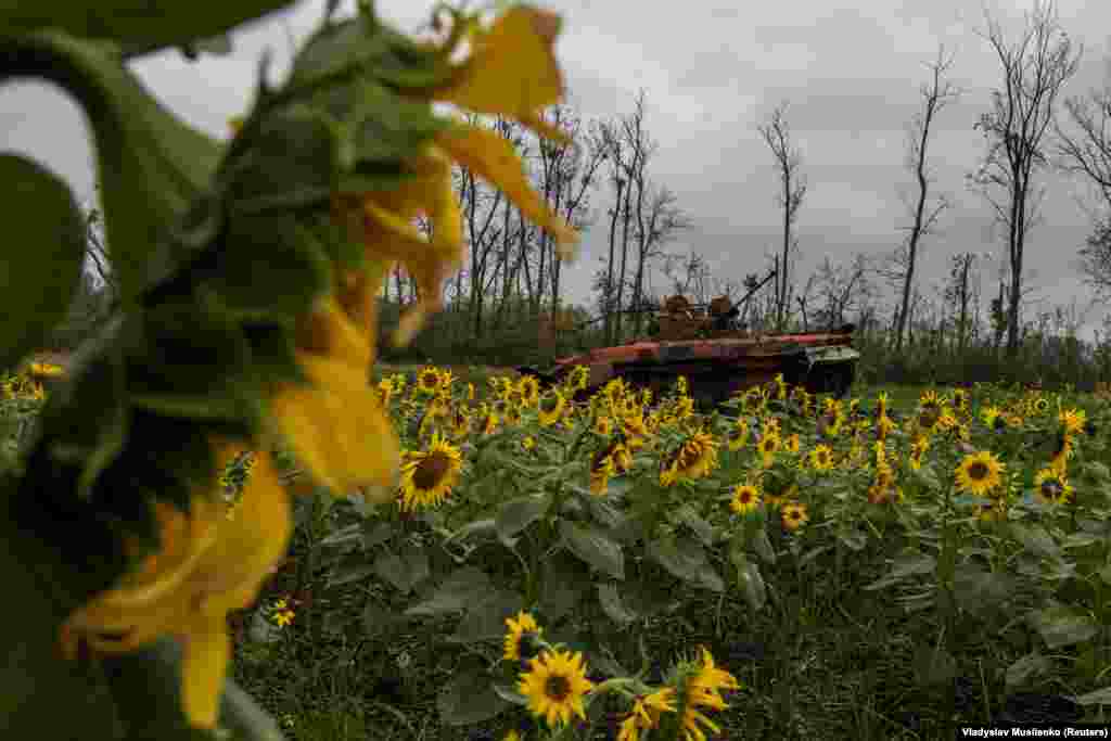 A destroyed Russian armored fighting vehicle is seen in a field in the Kharkiv region. Ukraine's sweeping counteroffensive in September has led to angry criticism of Moscow's military commanders and poses a challenge for Putin as Russian losses mount.