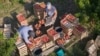 Иллюстрационное фото