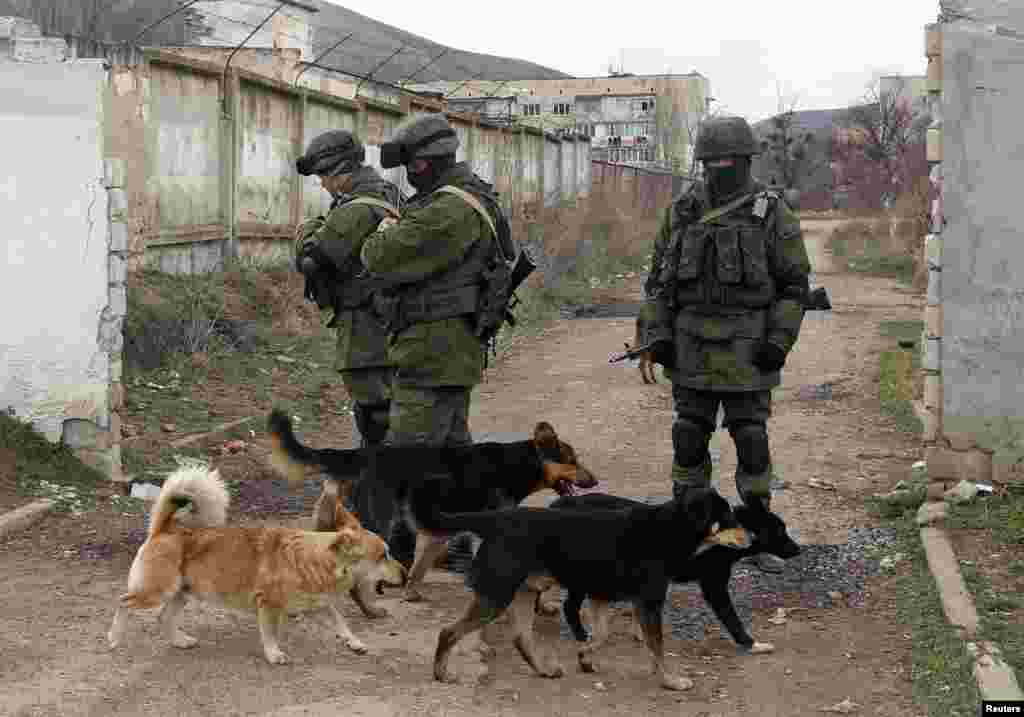 Dogs pass by uniformed men, believed to be Russian soldiers, near a Ukrainian military base in the village of Perevalnoye outside Simferopol, Crimea, in March 2014.