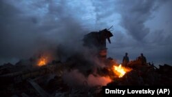Одно из мест падения обломков «Боинга», сбитого российской установкой «Бук», в результате чего погибли 298 человек, в том числе 80 детей. Донецкая область, близ села Грабово, 19 июля 2014 года
