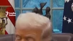 Vasitəçilər Donald Tramp və İlon Maskı barışdırmağa çalışırlar