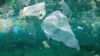 Trash Museum In Russia's Kamchatka Shows Damage Of Marine Pollution