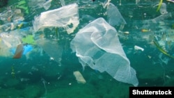 Five trillion pieces of plastic currently litter the ocean.