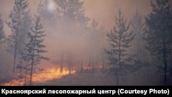 A forest fire in Russia's Krasnoyarsk region.