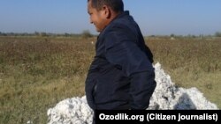 President Shavkat Mirziyoev has promised to end the practice of forcing students, teachers, medical personnel, and others into the cotton fields during harvest time.