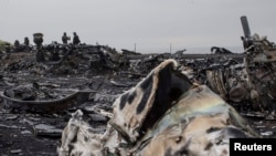People talk near the remains of the fuselage of the downed Malaysia Airlines flight MH17 near the village of Hrabove in Ukraine.