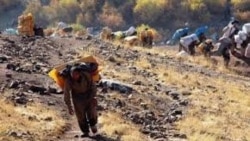 کشته شدن «دو کولبر» دیگر به ضرب گلوله مرزبانی و پلیس