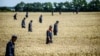 Draft Report Blames Pro-Russian Rebels