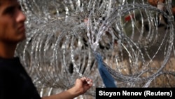 A migrant inspects a razor-wire fence at Serbia's border with Hungary in September 2015.