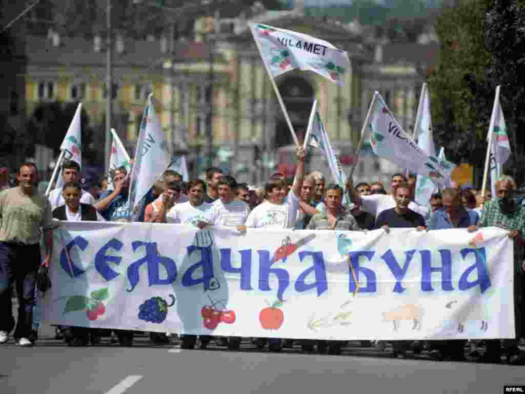 Srbija: Protesti poljoprivrednika u Beogradu - avgust, 2009.
