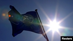 Milan Ježevica: Trideset posto mladih nema mišljenje o NATO