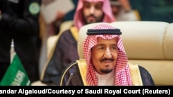 سلمان بن عبدالعزیز، پادشاه عربستان