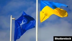 «Україна потребує безпекових гарантій, а найкраща гарантія полягає в тому, щоб вона приєдналася до НАТО якомога скоріше» – Щерба