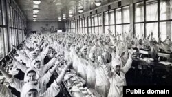 "Everybody on your feet!"