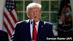 U.S. President Donald Trump (file photo)