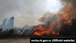 Горящая растительность, иллюстративное фото