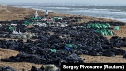 Волонтёры очищают береговую линию после крушения двух танкеров в Керченском проливе, 21 декабря 2024 года.