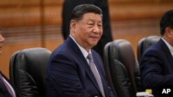 Chinese President Xi Jinping (file photo) 