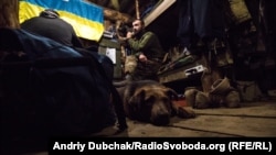 Пес на прізвисько «За&#бісь» гріється в землянці, обладнаній дерев’яною підлогою (це рідкість і розкіш)
