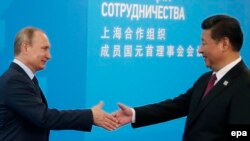 Putin's new best friend?