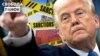 «Розлючений» Трамп. На кого злиться – на Путіна чи на Зеленського? 