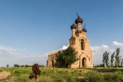 Пасущаяся на привязи лошадь на фоне храма.