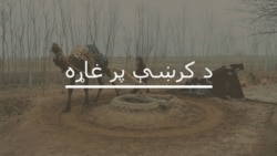 د بنو پرلتوال وايي د امنیت تر ټینګښته احتجاج ته دوام ورکوي