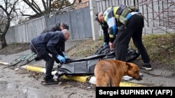 Собака поруч із мертвим тілом чоловіка – можливо, її господаря у Бучі 3 квітня 2022 року