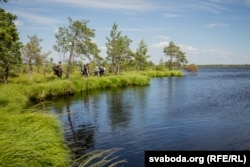 Возера Плоскае, Ельня