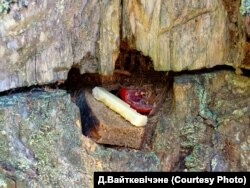 Ахвяра сасьне Куліне