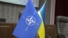 Politico: сім країн НАТО «не поспішають» запросити Україну приєднатися до альянсу