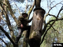 Бортнік