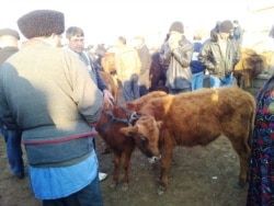 An animal market in Mary Province
