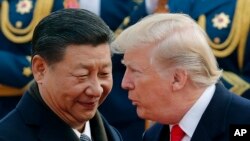 Президент США Дональд Трамп (справа) и лидер Китая Си Цзиньпин, архивное фото 