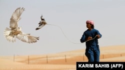 تصویر له ارشیفه 