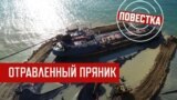 "Злобные недоговороспособные морды"
