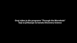 Dragan Huterer, Through the Wormhole