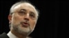 Iran Offers To Extend IAEA Inspection