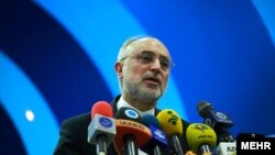 علی‌اکبر صالحی، رئیس سازمان انرژی اتمی ایران 