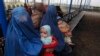 Flocking Home Amid Claims Of Intimidation, Harassment