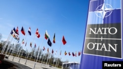 NATO