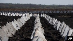 Обласна влада наголошує, що наразі ситуація на кордоні залишається складною, але стабільною